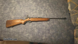 22 rifle