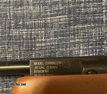 pellet model
