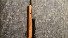 pellet rifle
