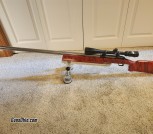 12 Gauge Savage Shotgun