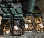 Bulk 556 ammo