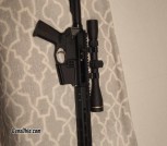 Palmetto 450 bushmaster