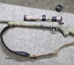 Savage predator 17 hmr