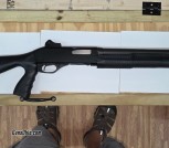 Savage/Stevens 320 